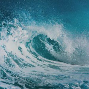 Meet your Posher, Claire